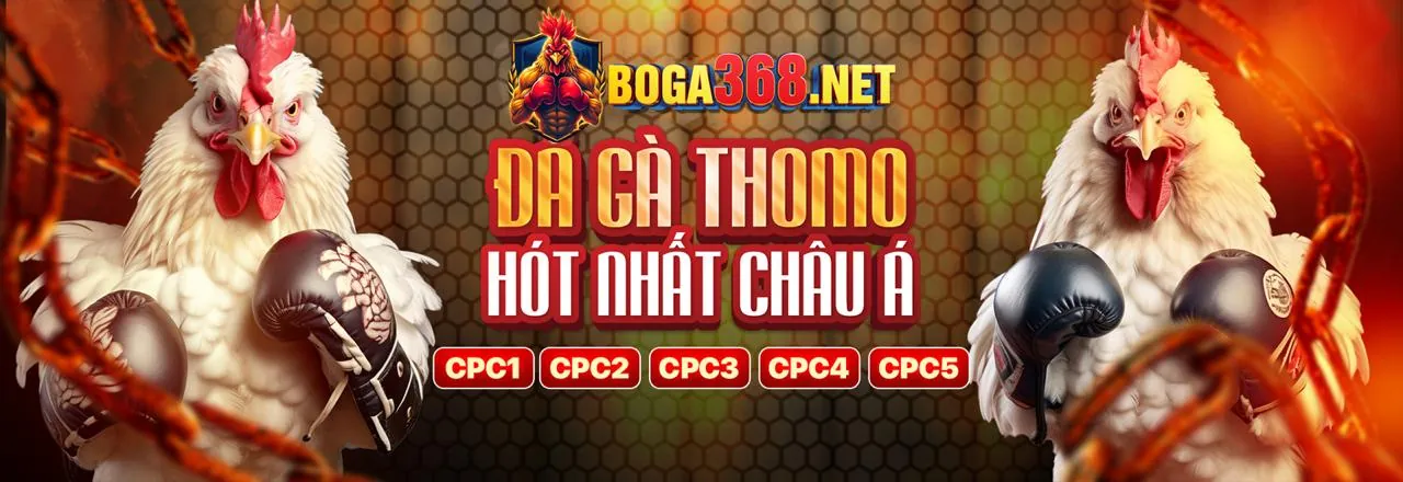 Hình ảnh tổng hợp các môn thể thao phổ biến tại K9WIN