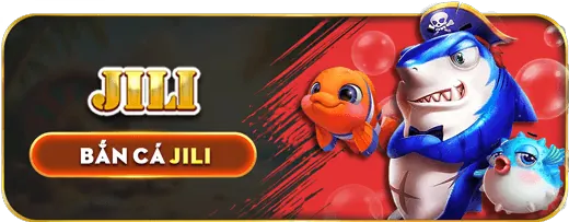 Hình ảnh minh họa việc thu thập dữ liệu cá nhân một cách an toàn và có trách nhiệm tại K9WIN