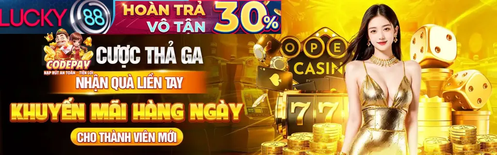 Chương trình VIP K9WIN